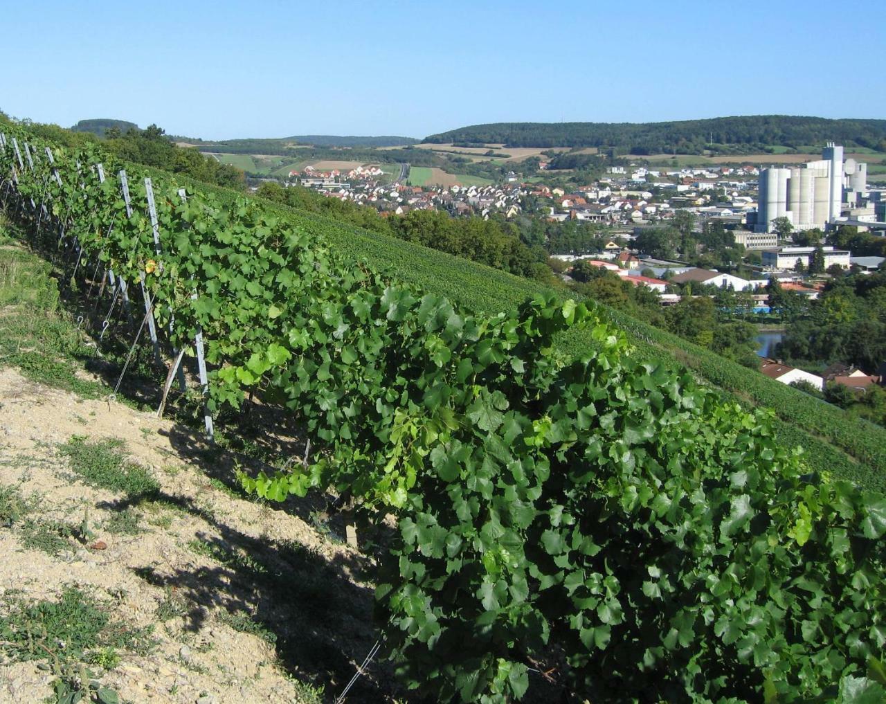 Weinstube Schwalbennest Hotel Karlstadt Kültér fotó